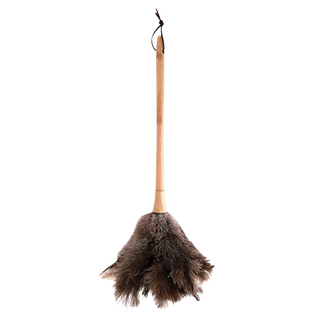 NATURE LIVING 鴕鳥羽毛除塵撢子 木柄, 棕色, 1支