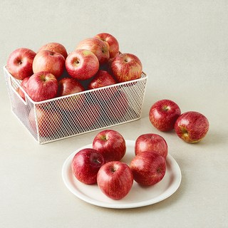 곰곰 소백산 못생겨도 맛있는 사과, 1개, 5kg