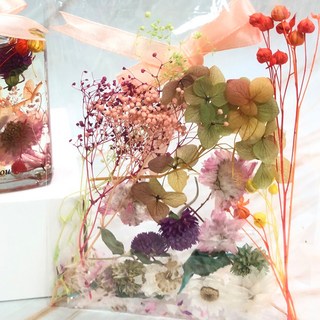 A-ONE 浮游花DIY花材包,彩色,浪漫金彩,天然乾燥花材,DIY花藝
