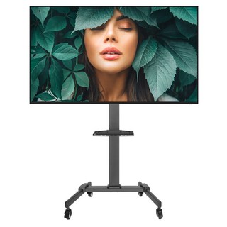 카멜 4K UHD 광고용 디지털 사이니지 모니터 + 스탠드 거치대 세트 방문설치, 139.7cm, 모니터(CDS5220), 스탠드(ASB55)
