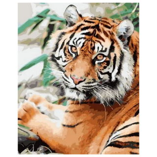 ArtLife 藝術生活 數字油畫DIY 50 x 40cm, 虎虎生風, 1組