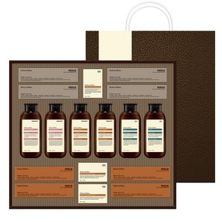 LG생활건강 프리미엄 모던에디션 스페셜 선물세트 B3 + 쇼핑백, 1세트