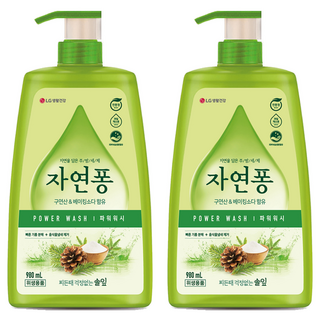 자연퐁 찌든때 걱정없는 솔잎 파워워시 주방세제 용기형, 980ml, 2개