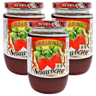 大倫食品 大湖莓之鄉 草莓醬 台灣製造 天然原味, 450g, 3罐
