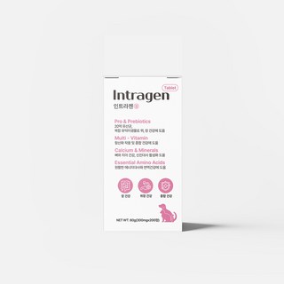 인트라젠 반려동물 종합영양제 타블렛, 200정, 장건강/유산균, 1개