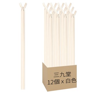 三九堂 隱形拉鍊 10吋, 12個, 白色