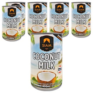 deSIAM 椰奶, 400ml, 6罐