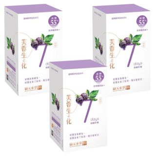 順天本草 芙蓉生之化和解計畫 減糖版 溫熱飲沖泡包 天然鐵添加 桑椹, 10包, 24g, 3盒