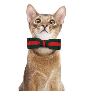 pecanori 寵物Cony蝴蝶結 S PECA6701GS, 綠色, 1個