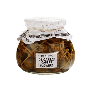 Bellota-Bellota 續隨子果, 1個, 240g