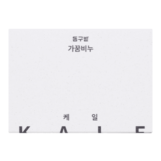 donggubat 洗面皂 羽衣甘藍, 100g, 1個