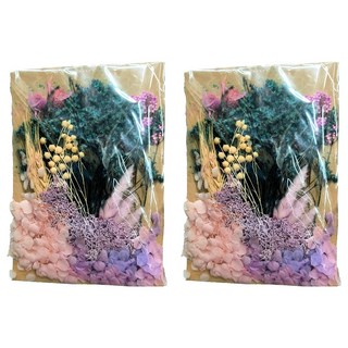 A-ONE 匯旺 乾燥花 C12 紫色花園 Set 2包