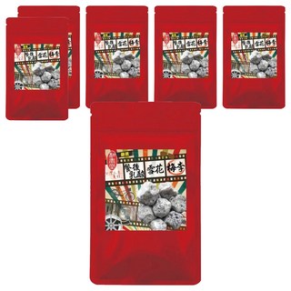 麗紳和春堂 餐後乳酸風味雪花李 嚴選台灣新鮮梅肉 果肉厚實飽滿 傳統風味, 100g, 6包