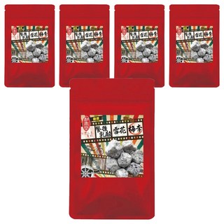 麗紳和春堂 餐後乳酸風味雪花李 嚴選台灣新鮮梅肉 果肉厚實飽滿 傳統風味, 100g, 5包