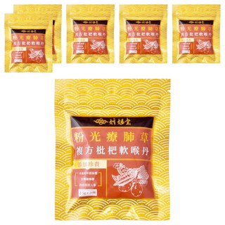炫煬堂 粉光療肺草複方枇杷軟喉丹 2.5g x 20顆, 6包