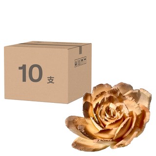 索拉花 4.5cm碎邊牡丹 (糖果幻)*10入, 糖果咖