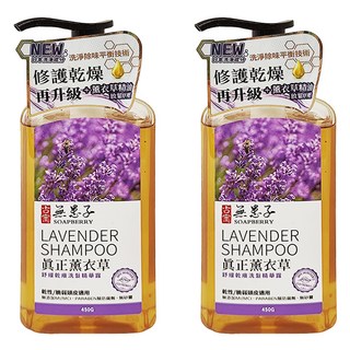 SOAPBERRY 古寶無患子 正薰衣草洗髮精華露 舒緩乾燥適用, 450g, 2瓶