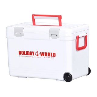 SHInWA 伸和 Holiday World 冰桶 + 750 冰袋組, 27L, 白色