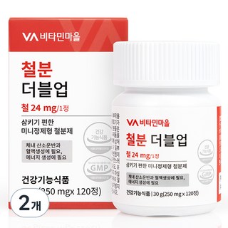 Vitamin Village Double up鐵補充碇, 120顆, 2罐