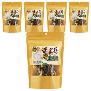 旺來旺 鹿茸菇, 40g, 5包