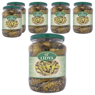 LIDYA 莉迪亞 蒔蘿醋漬酸瓜, 670公克, 360公克固形量, 土耳其原產, 720ml, 6罐