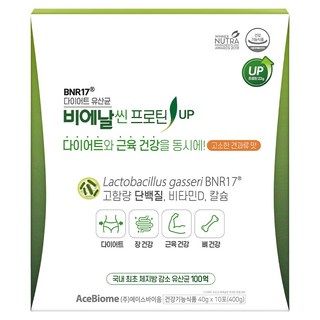 비에날씬 BNR17 프로틴 업 유산균, 400g, 1개