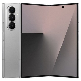 삼성전자 갤럭시 Z폴드7, 실버 쉐도우, 512GB