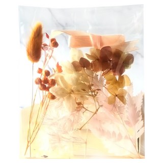 A-ONE 匯旺 浮游花DIY花材包 Set, 天然植物乾燥花, 12 x 12 CM, H10 橙金流光 彩色