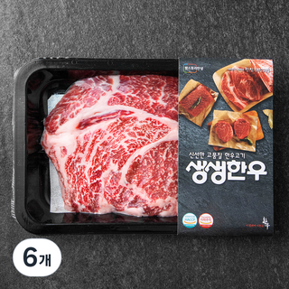 생생한우 1등급 숙성등심 구이용 (냉장), 200g, 6개