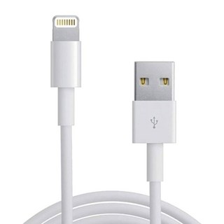 iBRIDGE 蘋果 Lightning 副廠線 1m 適用iPhone iPad, 白色, 1個