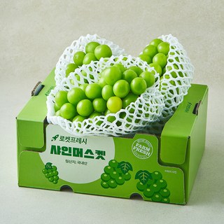 곰곰 샤인머스켓, 1박스, 2kg(2~4수)