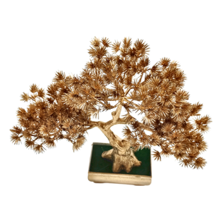 25公分松柏盆栽, GTY-2610, 1組