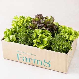 팜에이트 무농약 유러피안 샐러드 꾸러미, 800g, 1개입, 1개