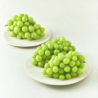 다조은 비파괴당도선별 샤인머스캣, 1.5kg, 1개