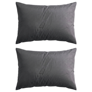 夢之語 臺灣製 石墨烯遠紅外線水洗枕, 2個, 石墨烯 灰色