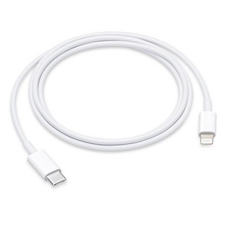 Apple 정품 Lightning-C타입 충전 케이블, MUQ93FE/A, 1개, 1m, 1m