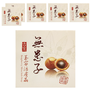 SOAPBERRY 古寶無患子 玉容活膚晶 添加珍貴珍珠粉 採用奈米級研磨技術, 100g, 6盒