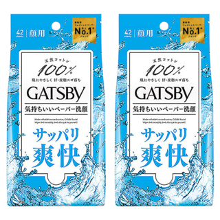 GATSBy 涼感濕紙巾 涼爽型, 1入, 2包