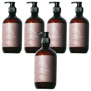 VIIGO 拾刻溫和衣物手洗精 藤井瑰木, 500g, 5瓶