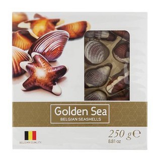 골든씨 씨쉘 초콜릿, 250g, 1개