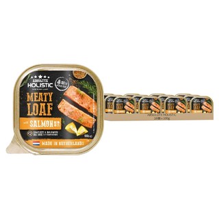 ABSOLUTE HOLISTIC 全方位營養狗主食餐盒, 鮭魚, 100g, 16盒