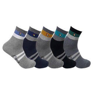 Arnold Palmer AP5171 男士休閒中筒襪5雙入禮盒組