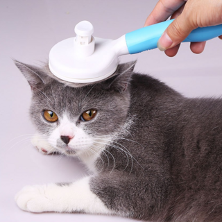 마이바우 심플 강아지 고양이 펫브러쉬, 블루, 1개