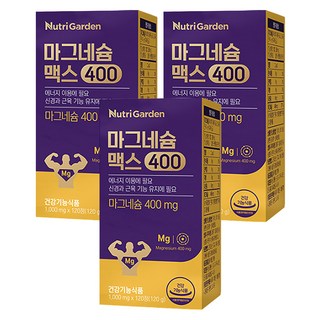 뉴트리가든 마그네슘 맥스400, 120정, 3개