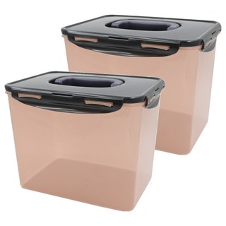 LocknLock 樂扣樂扣 新款泡菜專用密封保鮮盒 248*180*195mm 粉色 6L 2個