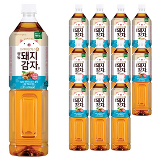 광동제약 돼지감자차, 1.5L, 12개