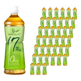 17차 몸이 가벼워지는 시간, 500ml, 40개