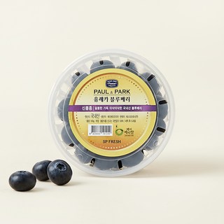 유레카 블루베리(국내산), 100g, 1개