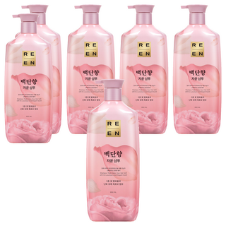 리엔 자윤 백단향 샴푸 프루티 피오니 향, 950ml, 6개