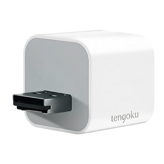 TENGOKU天閤堀 BP1 USB-A手機高速備份豆腐頭 充電備份二合一 安全加密晶片, 白色, 1個